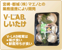 VLAB しいたけ