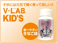 VLAB kids