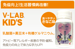 V-LAB KIDS