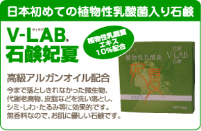 V-LAB FATLESS