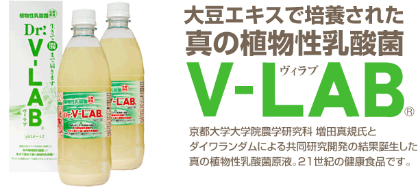 大豆エキスで培養された真の植物性乳酸菌[V-LAB]