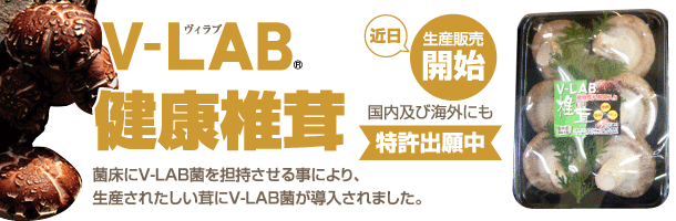 免疫力UP！健康促進！体質改善!V-LAB Sickless