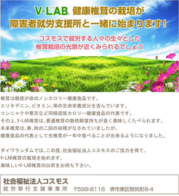 社会福祉法人コスモス