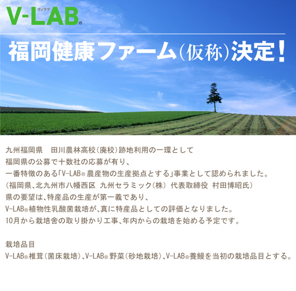 大豆エキスで培養された真の植物性乳酸菌[V-LAB]